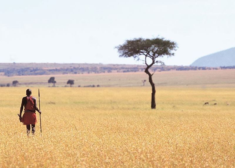 The Masai Mara