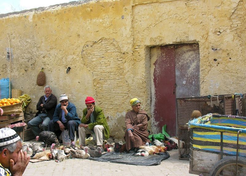 Chicken market in Fez