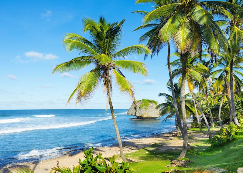 Eastern coastline, Barbados