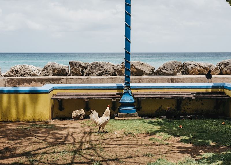 Speightstown, Barbados