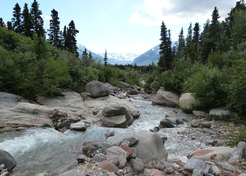 Scenery near Black Rapids