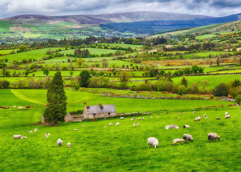 County Donegal