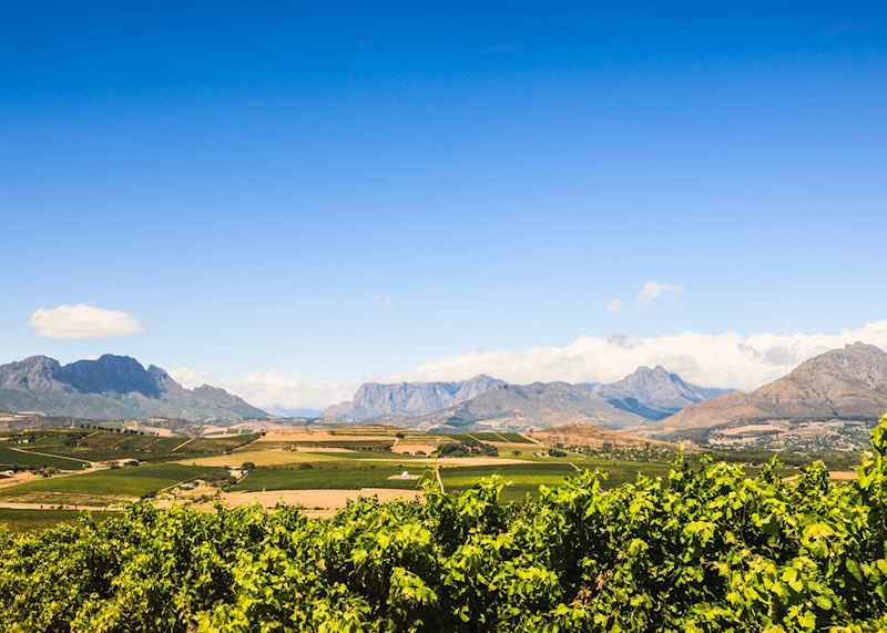 Stellenbosch, South Africa