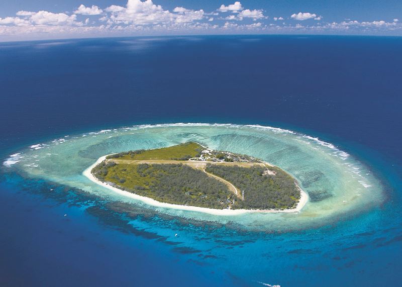 Lady Elliot Island, Lady Elliot Island