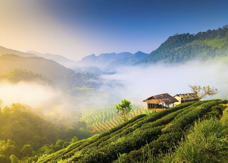 Chiang Mai countryside