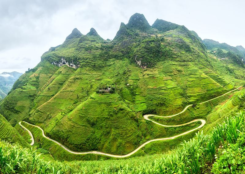 Rice terraces, Vietnam