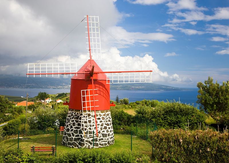 Windmill, Pico