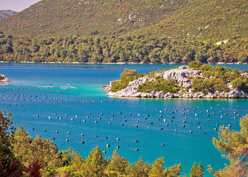 Oyster farm off the coast of Ston