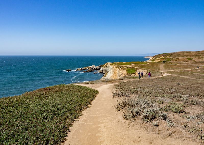 Bodega Head Trail, Bodega Bay