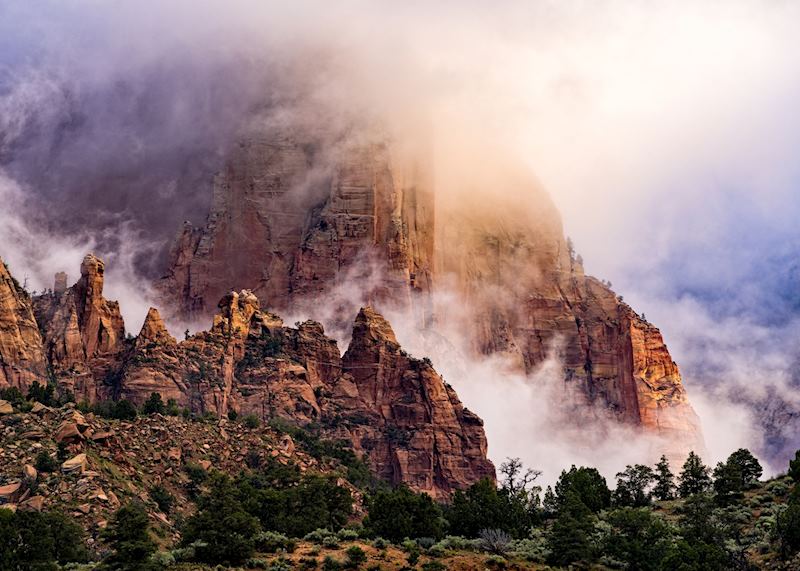 Red Rock Canyons, Zion