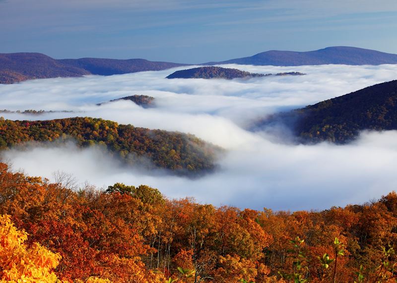 Shenandoah National Park 