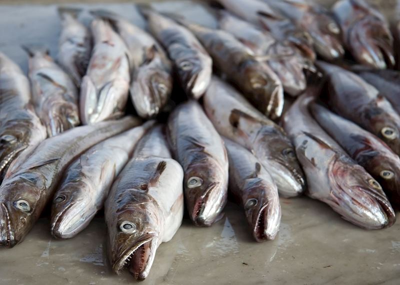 Freshly caught fish, Ischia