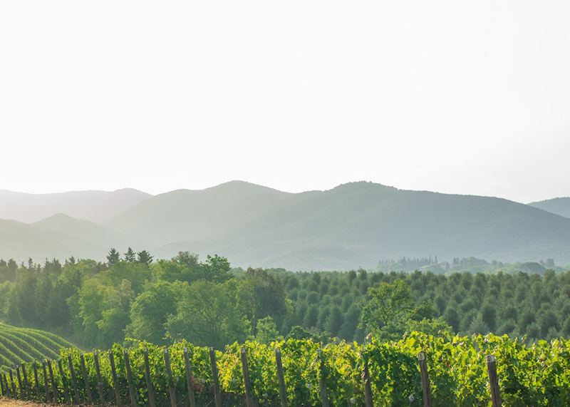 La Rioja, Spain