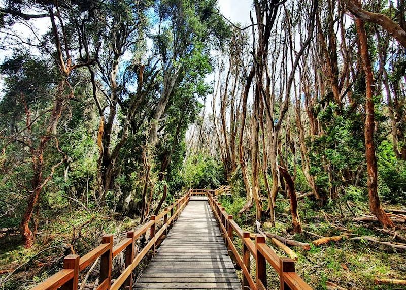 Walking trails in Villa La Angostura