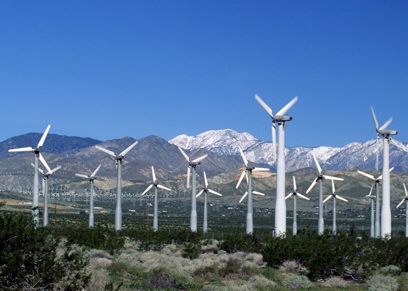 Palm Springs windmill farm