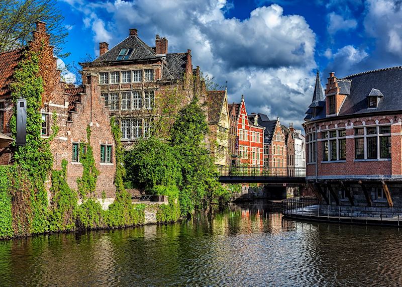 Ivy lined houses of Ghent, Belgium