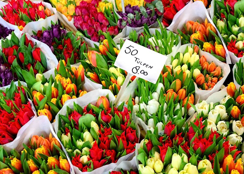 Amsterdam flower market