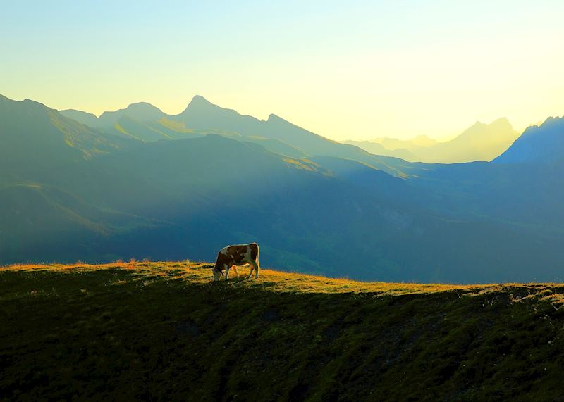 Grindelwald, Bernese Oberland