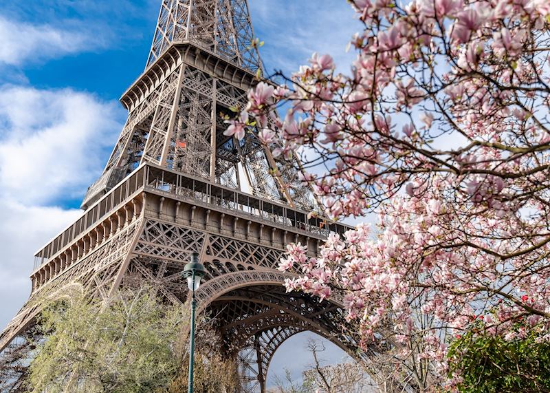 Paris in springtime