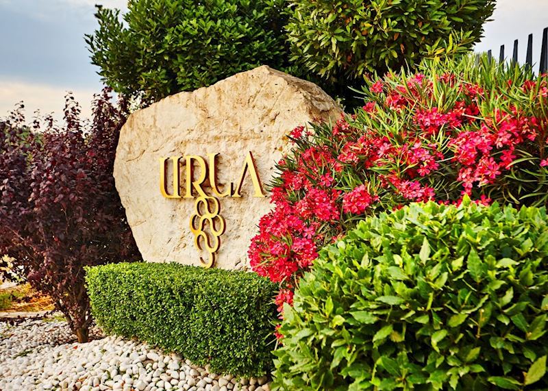 Wine tasting at Urla Vineyard, Alacati