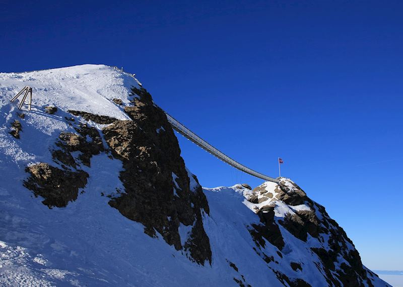 Peak to Peak suspension bridge