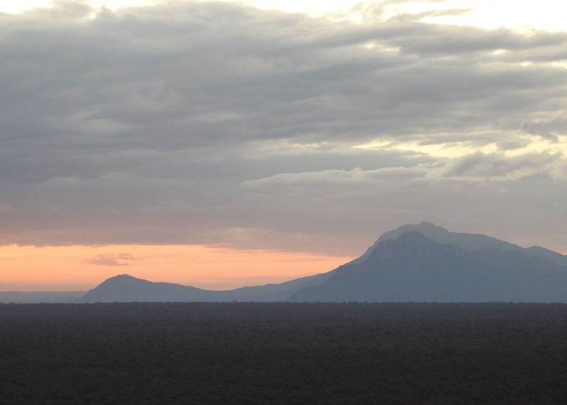 On Safari at Mbulia Conservancy