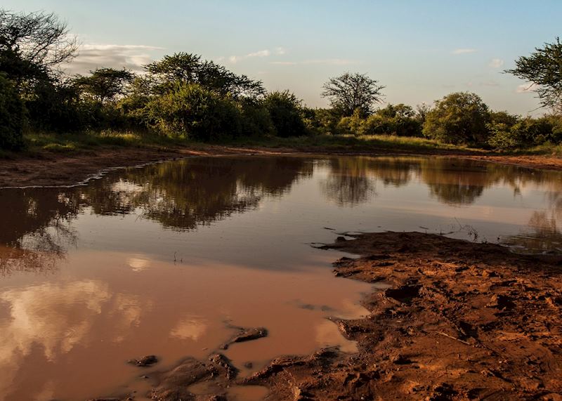 Watering hole, Tsavo Mbulia Conservancy