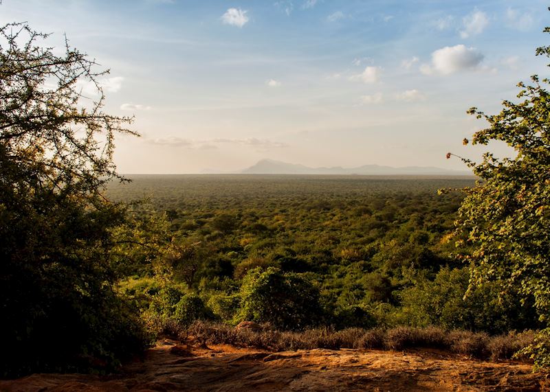 Tsavo Mbulia Conservancy