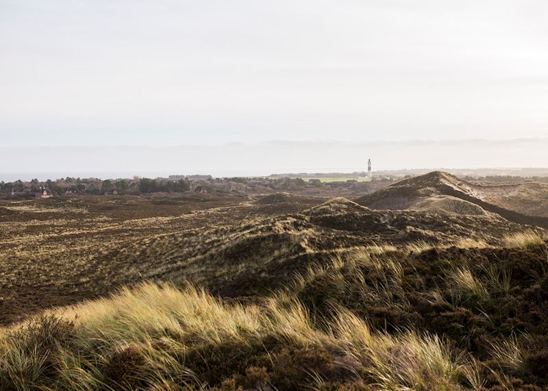 Sylt sand dunes
