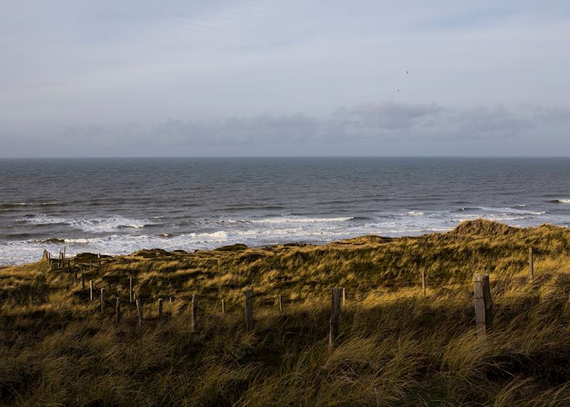 Sylt sand dunes