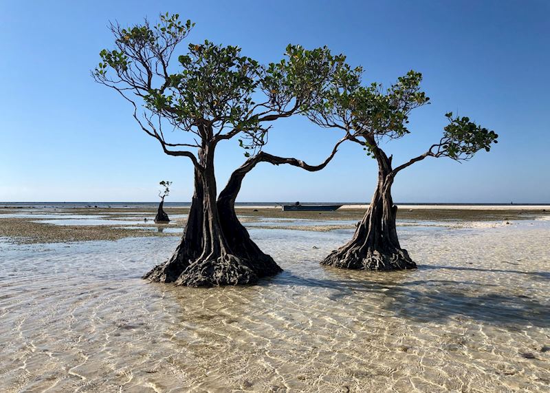 Untouched waterfront on Sumba