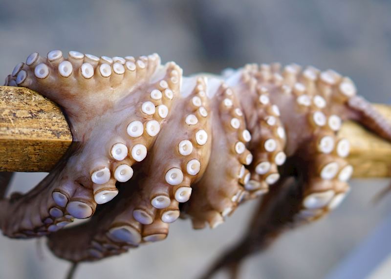 Octopus drying, Paros