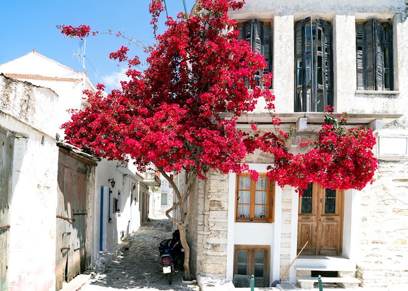 Street scene, Paros