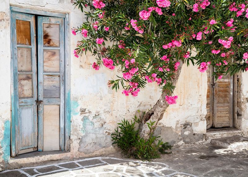 Street scene, Paros