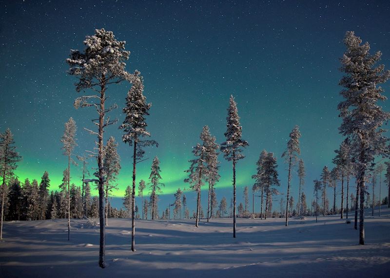 Frozen landscape near Kiruna