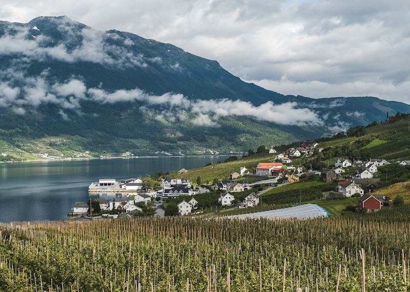 Hardangerfjord orchards