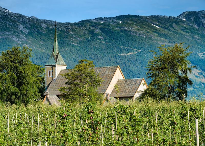 Hardangerfjord orchards