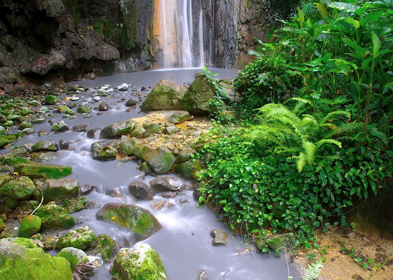 Rainforest, Saint Lucia