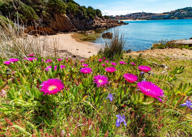 Cove in Baia Sardinia, Costa Smeralda