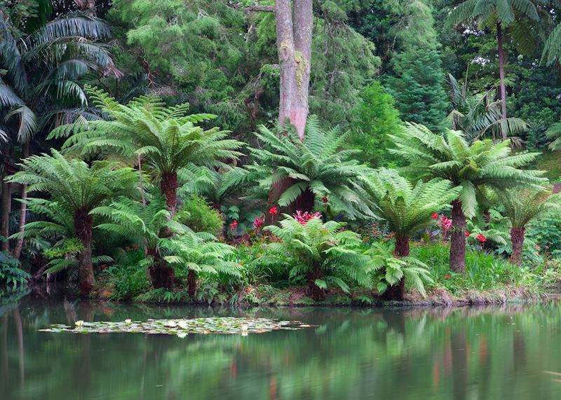 Terra Nostra Botanical Gardens