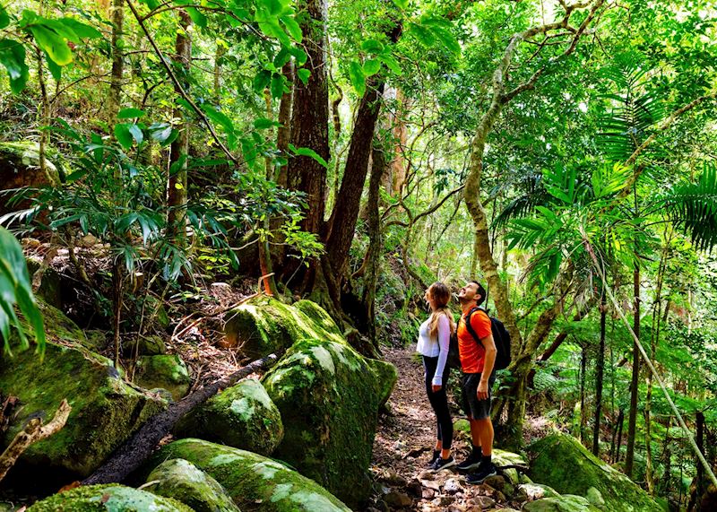 Lamington National Park, Queensland