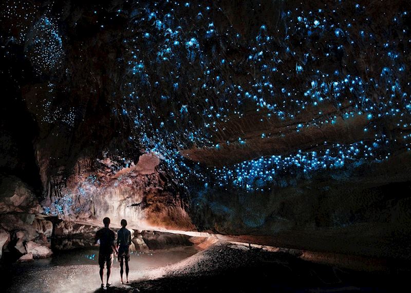 Glow worm caves Waipu cave
