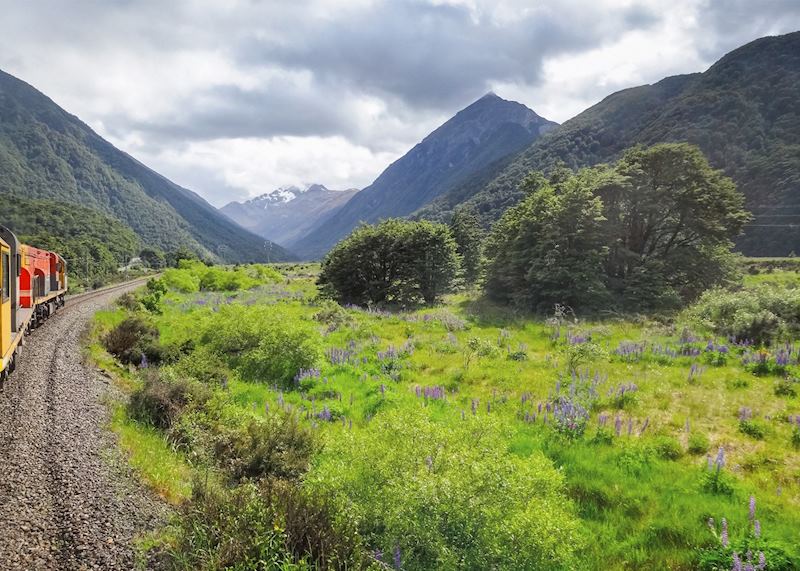 Tranzalpine train, New Zealand