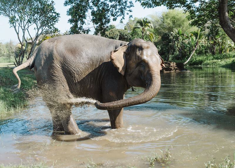 Kanta Elephant Sanctuary