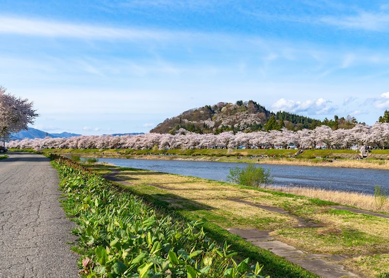 Hinokinai
