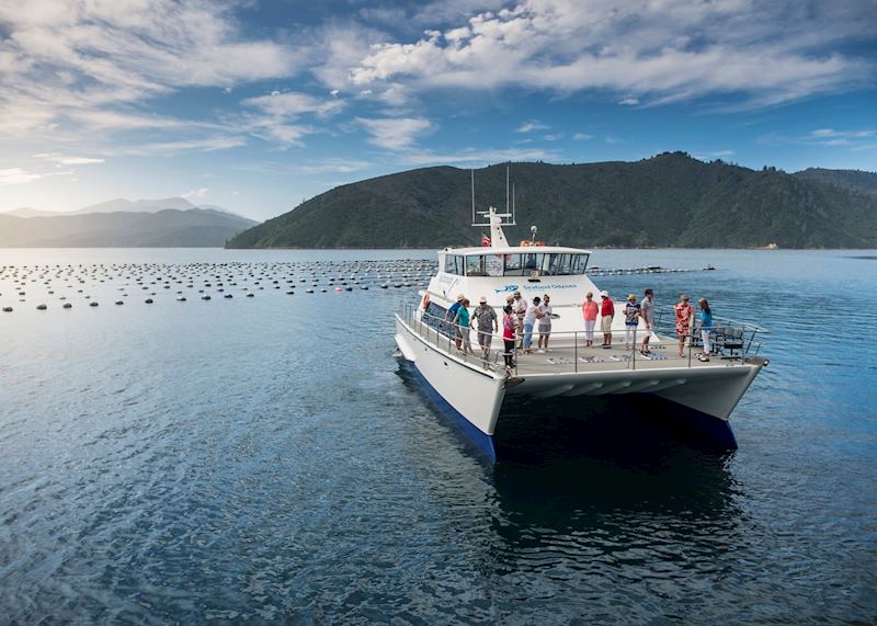 Odyssea boat, Marlborough Tour Company