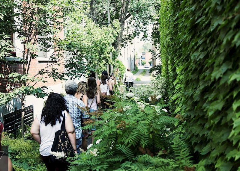 Green alleys, Montréal