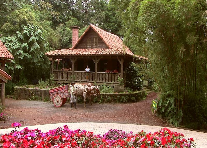 Traditional house in San José 