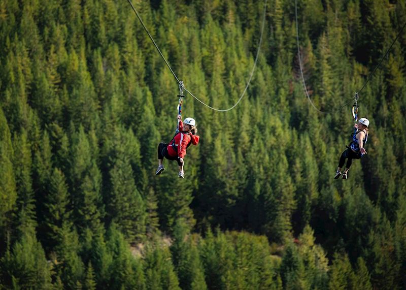 Zipline, Whistler