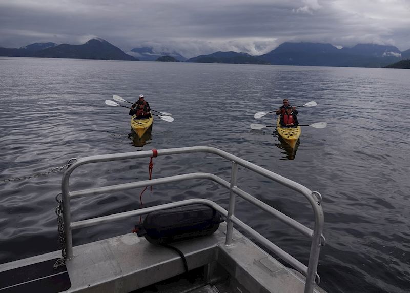 Kayaking with whales and wildlife